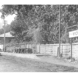 8. Estación de Vicuña, hacia 1900.