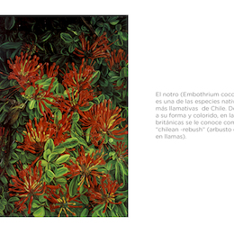 La flora chilena en la mirada de Marianne North, 1884. 1999, Antonia Echenique y María Victoria Legassa.