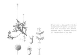 Estudio para una monografía de la flora vascular de Juan Fernández, 2011. Philippe Danton y Christophe Perrier.