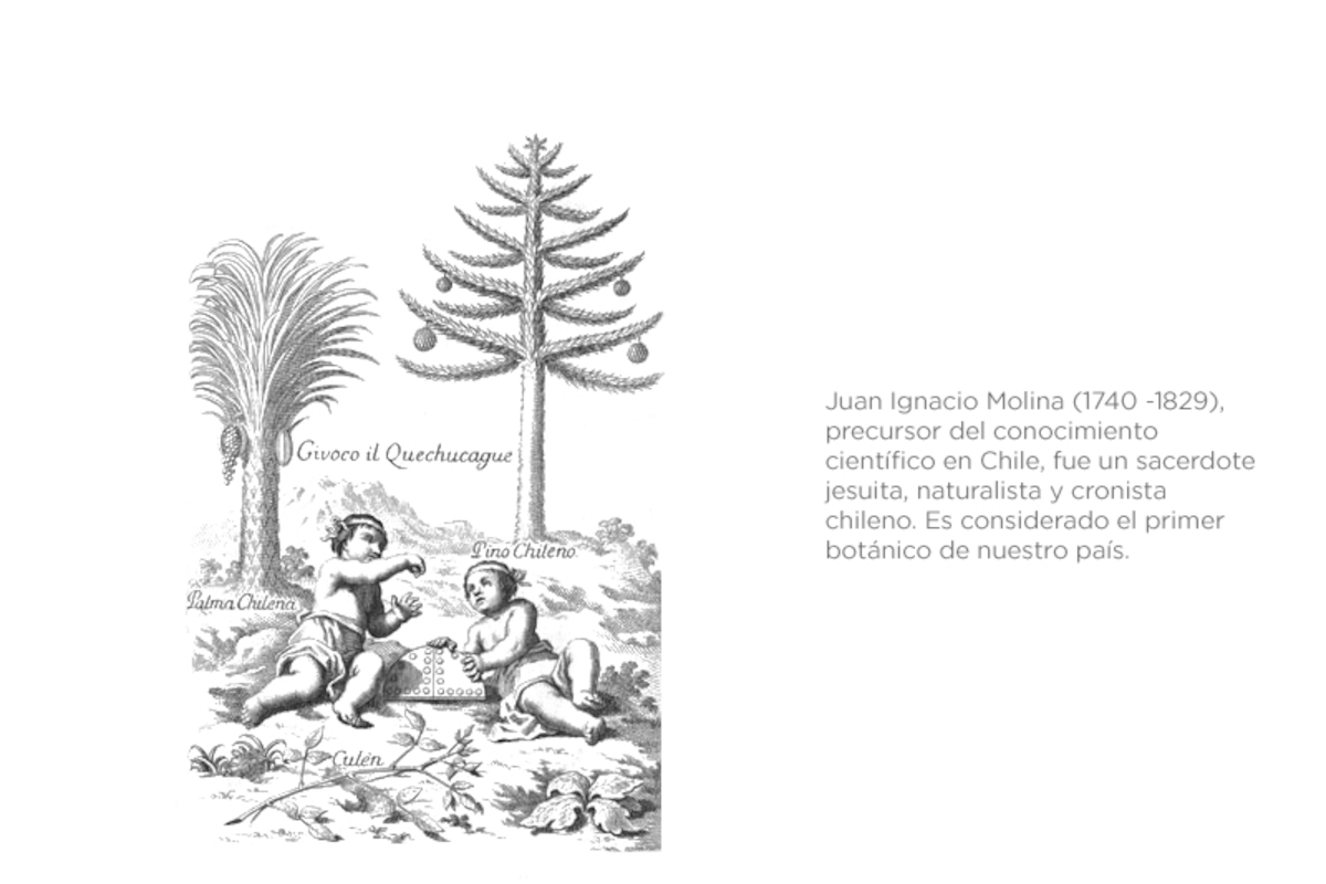Compendio della storia geográfica naturale e civile del regno de Cile. 1776. Juan Ignacio Molina.
