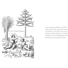 Compendio della storia geográfica naturale e civile del regno de Cile. 1776. Juan Ignacio Molina.