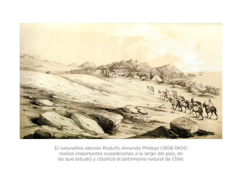 Viaje al desierto de Atacama 1860. Rodulfo Amando Philippi.