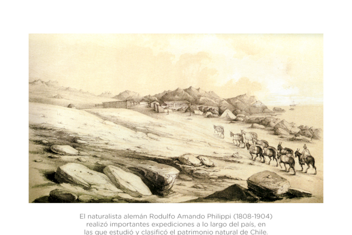 Viaje al desierto de Atacama 1860. Rodulfo Amando Philippi.