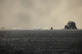 La fría Antártica