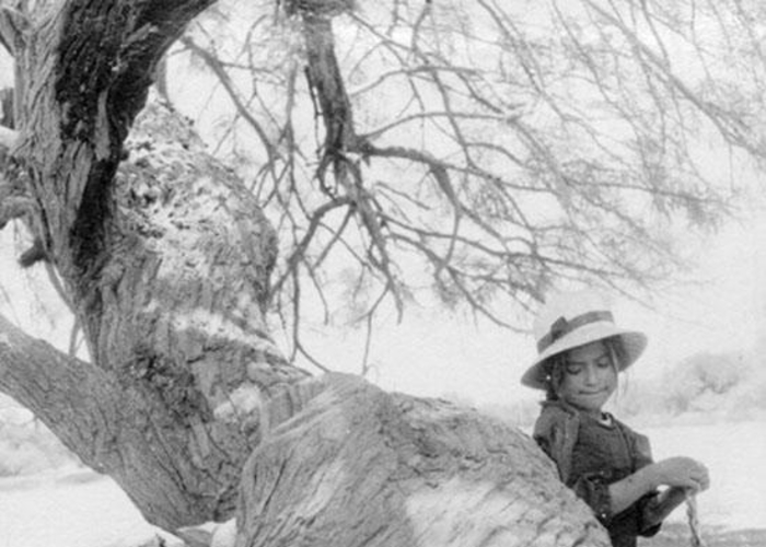 5. Niña junto a un árbol, hacia 1960.