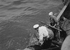 6. Pescadores en faenas de pesca, hacia 1960.