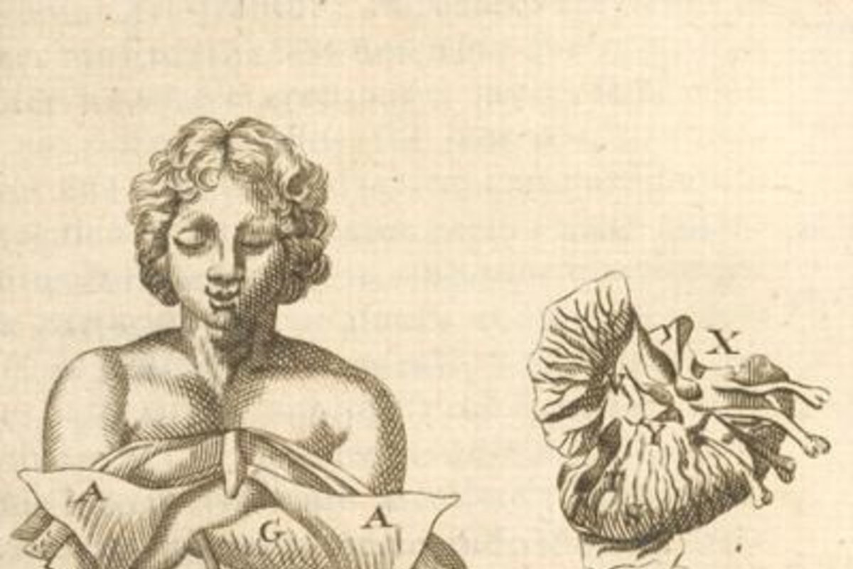 4. Abdomen, año 1696.