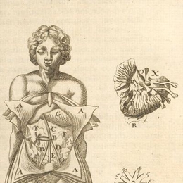 4. Abdomen, año 1696.