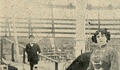 11. Adiestradora de caballos, 1909.
