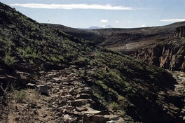 4. Camino Inca que conduce a Cerro Verde, Caspana.