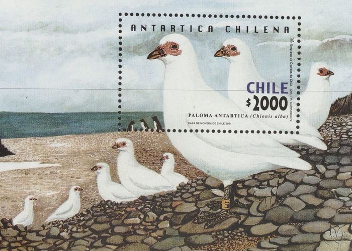 11. Estampilla con ilustraciones de la Antártica chilena.
