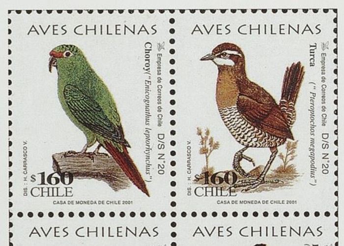 12. Estampillas con ilustraciones de aves chilenas.