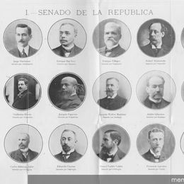 7.Senado, 1910.