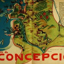 6. Provincia de Concepción.