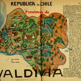 8. Provincia de Valdivia.