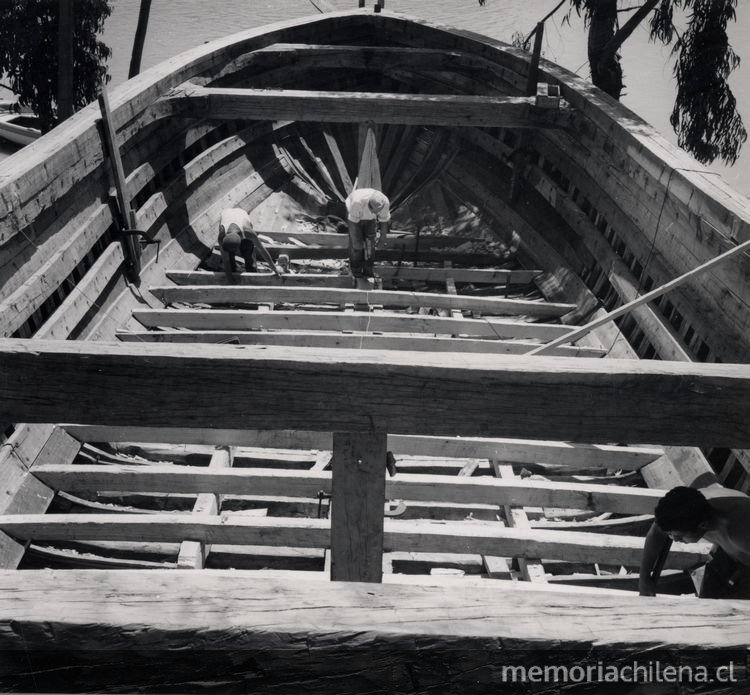 7. Cubierta de nave en construcción en astillero del Maule, 1950. Fotografía de Domingo Ulloa.