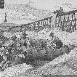 2. Empaque del salitre, 1889.