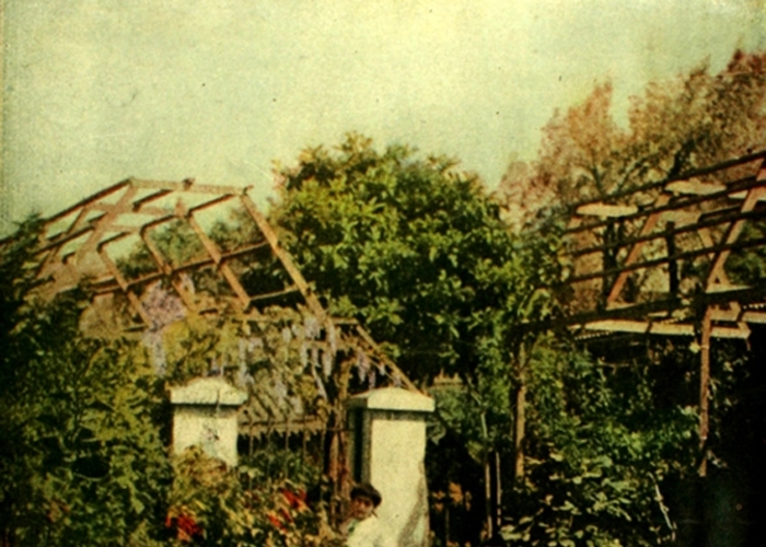 3. "Un patio ideal". Autocromo de León Durandín publicado en la portada portada de revista Zig-Zag en 1907.