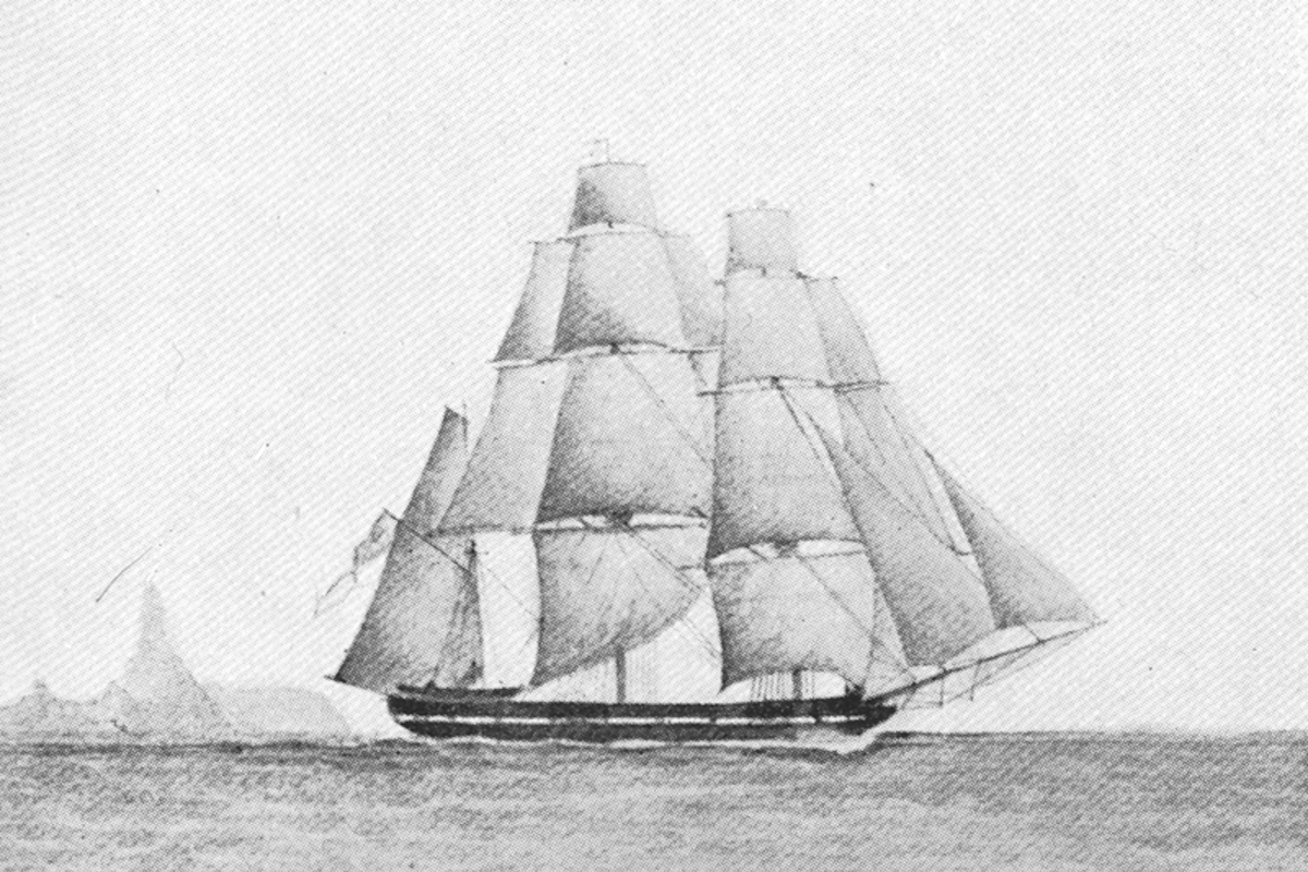 Los descubrimientos de Darwin