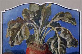 6. Til rodfrugter er chilesalpeter uerstattelig, 1926.