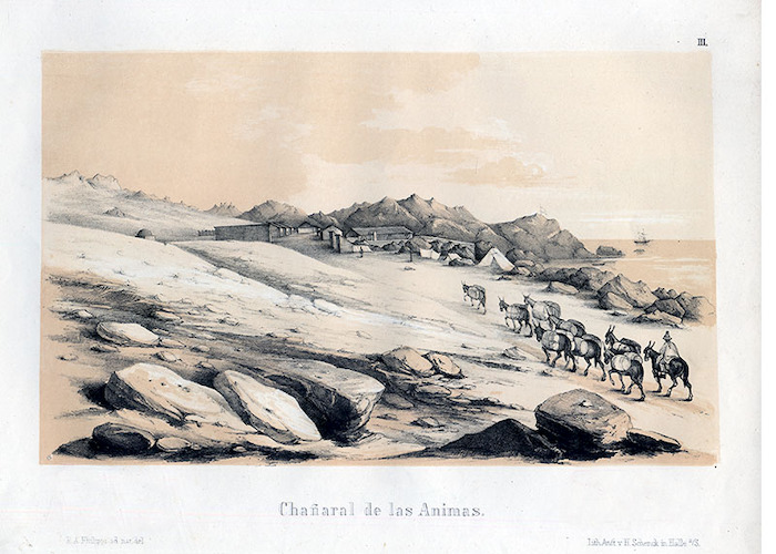 8. Chañaral de las Ánimas, hacia 1850