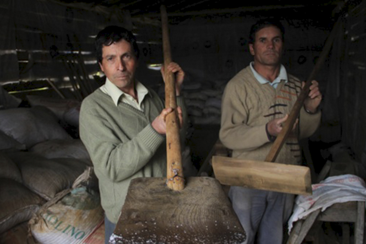 Cooperativa campesina de salineros. Cáhuil, Barranca y la Villa, Región de O'Higgins