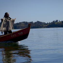 Lorenzo Ayllapán, hombre pájaro. Puerto Saavedra, Región de la Araucanía