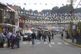 Fiesta de San Pedro