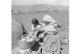 1. Antonio Quintana. Campesinas sacando pan amasado de un horno de barro.