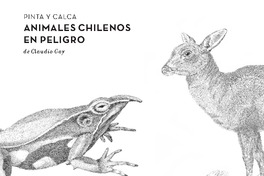 Pintemos animales chilenos