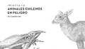 Pintemos animales chilenos