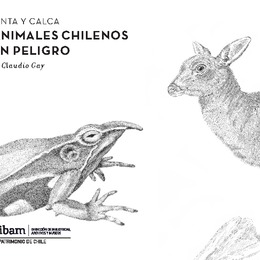 Pintemos animales chilenos