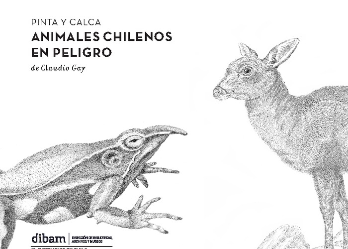 Pintemos animales chilenos