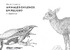 Pintemos animales chilenos