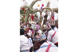 La Virgen del Carmen