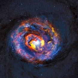 ALMA