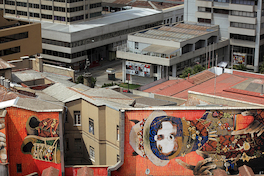Arte en Calles de Valparaíso, Valparaíso, Región de Valparaíso. Roderik Henderson. Fundación Imagen de Chile (FICH).