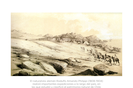 Viaje al desierto de Atacama 1860. Rodulfo Amando Philippi.