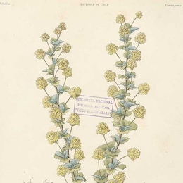 Atlas de la historia física y política de Chile