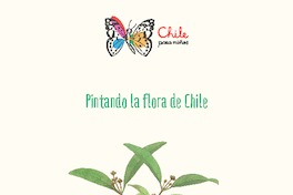 Pintando la flora de Chile