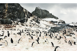 La Antártica fotografiada por Roderik Henderson.