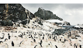 La Antártica fotografiada por Roderik Henderson.