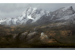 La Antártica fotografiada por Roderik Henderson.