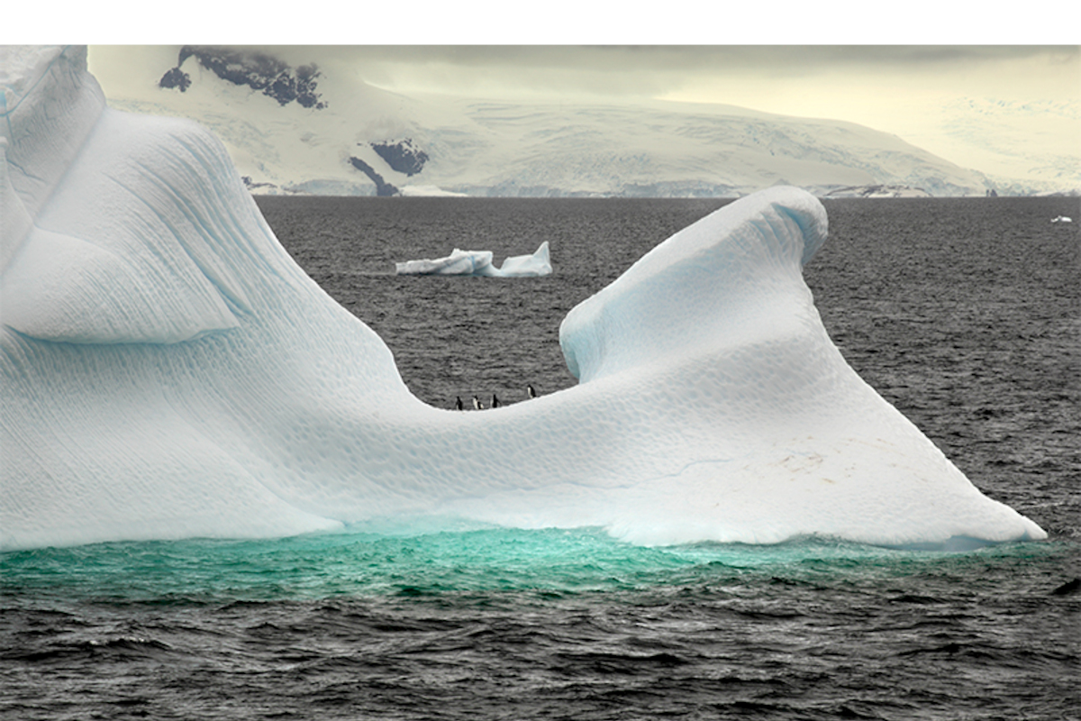 La Antártica fotografiada por Roderik Henderson.