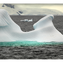 La Antártica fotografiada por Roderik Henderson.