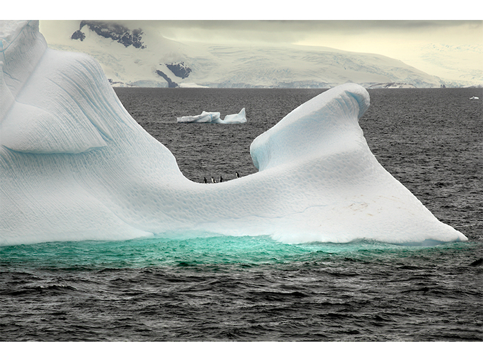 La Antártica fotografiada por Roderik Henderson.