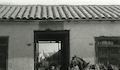 1. Niños afuera de un conventillo, Santiago, 1920.