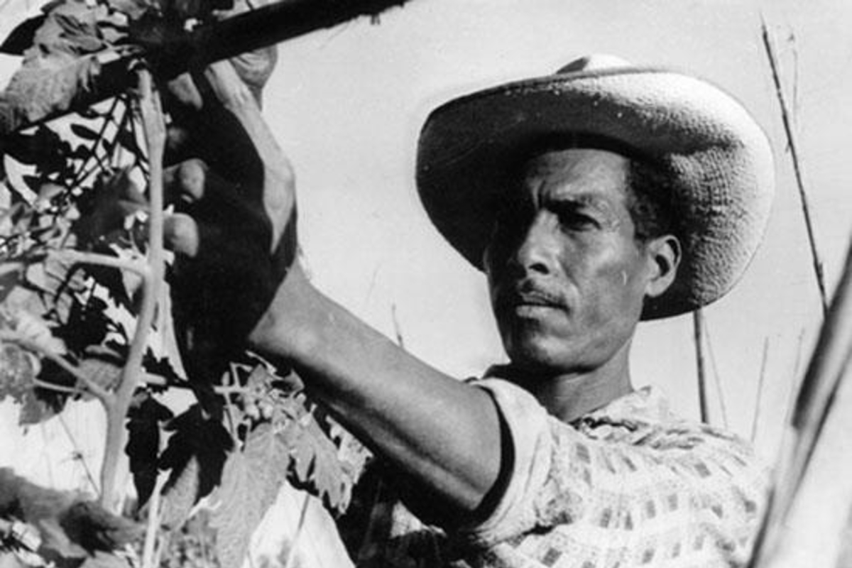 4. Agricultor y su cosecha, hacia 1960.