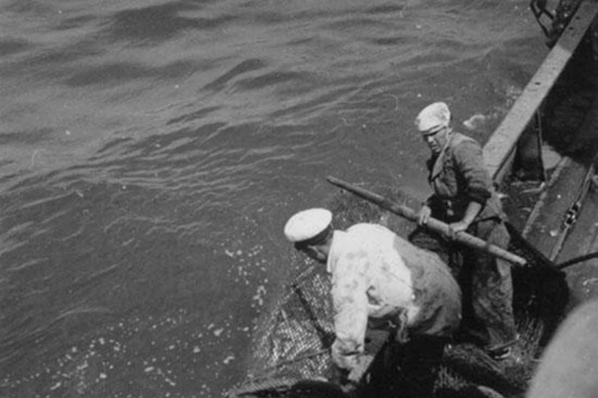 6. Pescadores en faenas de pesca, hacia 1960.