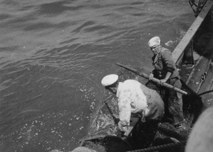 6. Pescadores en faenas de pesca, hacia 1960.